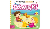 Co kryją okienka? Dźwięki. Aksjomat