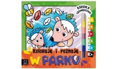 Koloruję i poznaję. W parku. Kredka segmentowa. Aksjomat